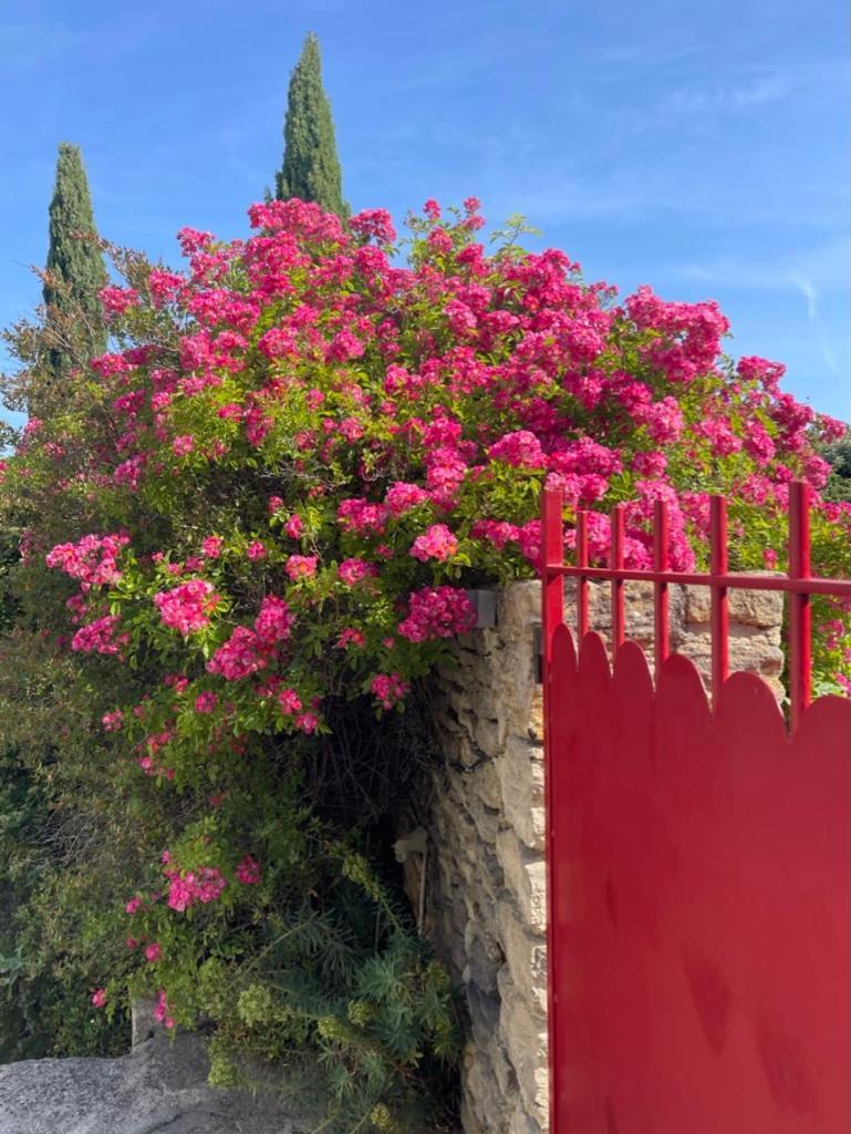 La Borie En Provence Bed & Breakfast Gordes Exterior photo