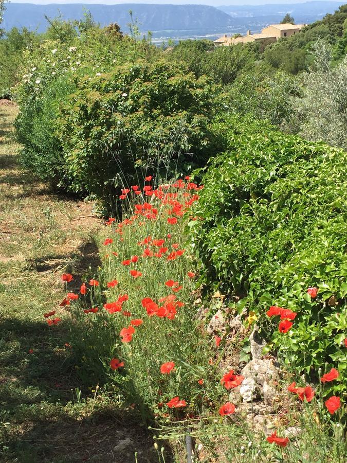 La Borie En Provence Bed & Breakfast Gordes Exterior photo